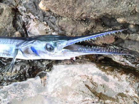 違うねんなぁ…